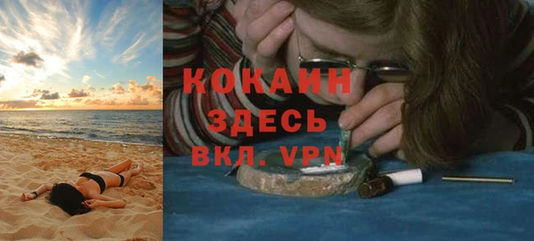индика Зеленодольск