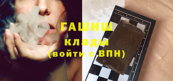 индика Зеленодольск