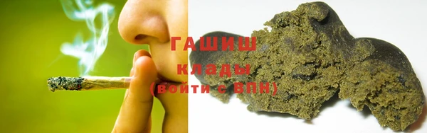 сатива Грязовец