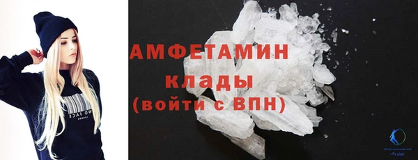 индика Зеленодольск