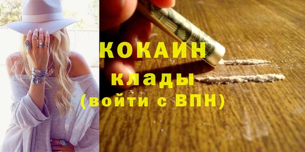индика Зеленодольск