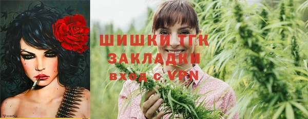 гидра Зеленокумск