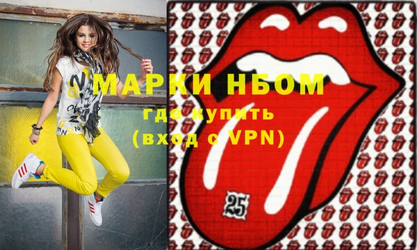 индика Зеленодольск