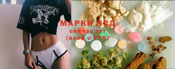 сатива Грязовец