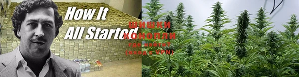 гидра Зеленокумск