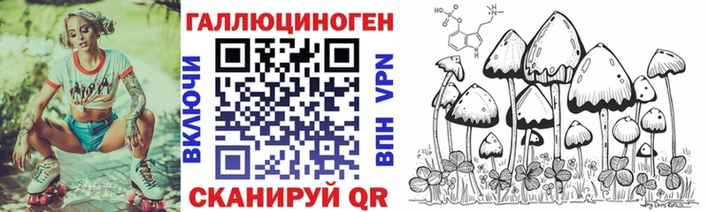 Галлюциногенные грибы Psilocybe  даркнет официальный сайт  Карасук 