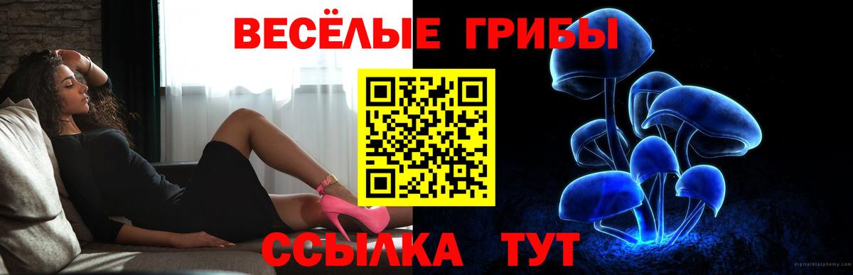 Псилоцибиновые грибы MAGIC MUSHROOMS Карасук